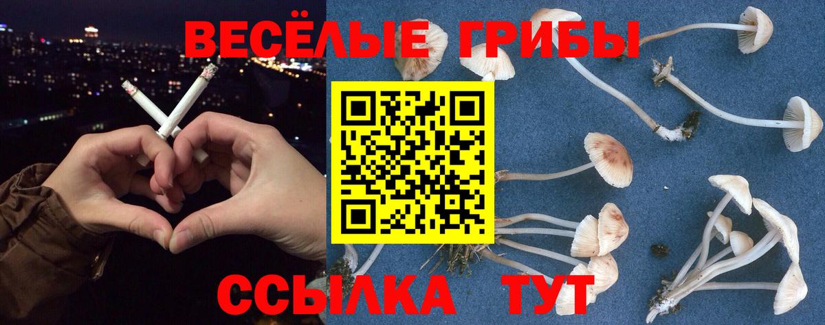 Псилоцибиновые грибы мухоморы  Псилоцибиновые грибы мицелий  Вход с VPN  Полысаево 